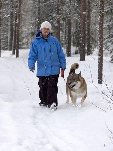 Hundpromenad